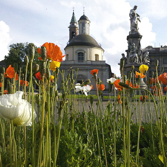 Tour Scopri Torino
