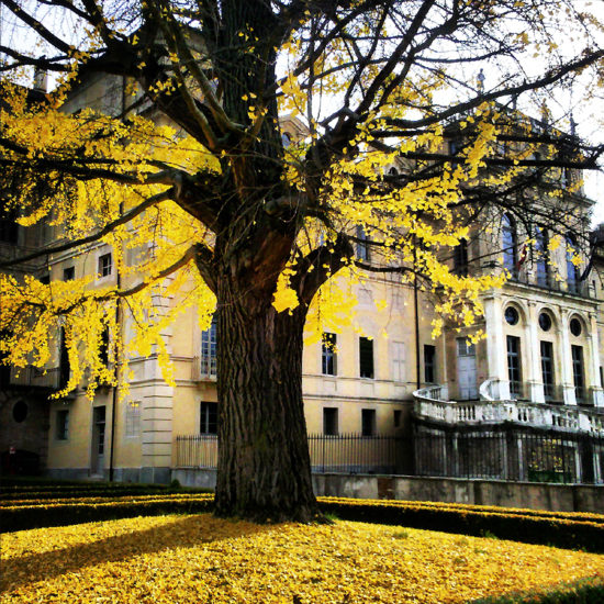 Villa della Regina