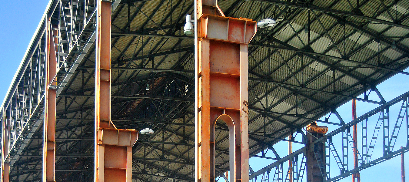Tour Torino Parco Dora
